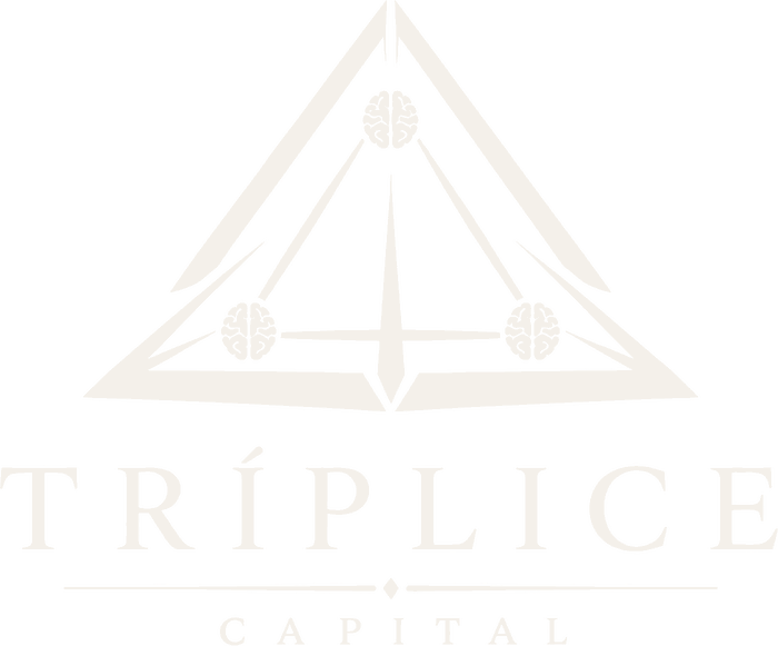 Logotipo da Tríplice Capital: um triângulo com três mentes ligadas ao centro.
